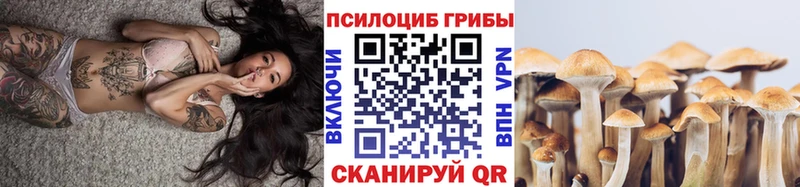 Псилоцибиновые грибы Psilocybine cubensis  Купить где  Туймазы 